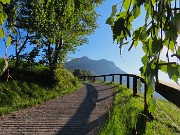 11 Stradetta cementata con vista in Monte Gioco